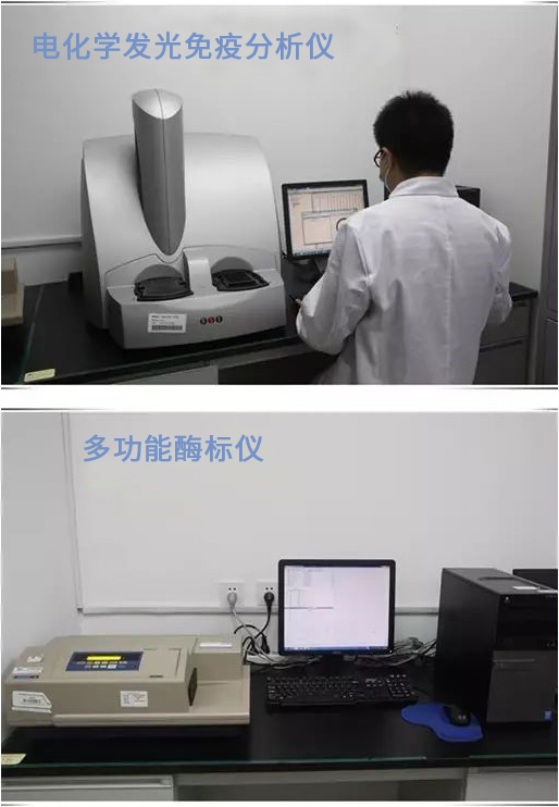 CC网投·(中国游)官方网站