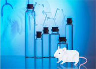 CC网投-您理想的DMPK研究同伴