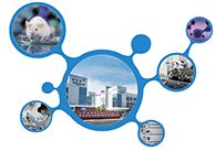 科创板首家CRO企业CC网投获准注册