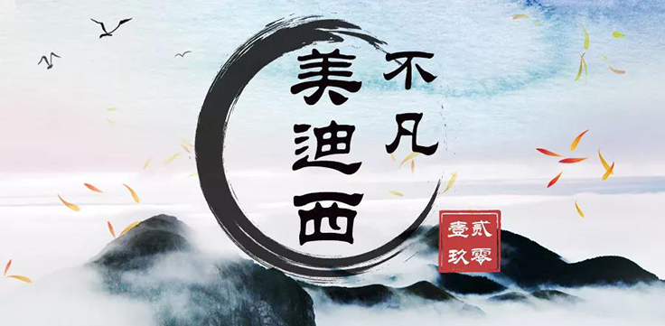 CC网投特殊2019