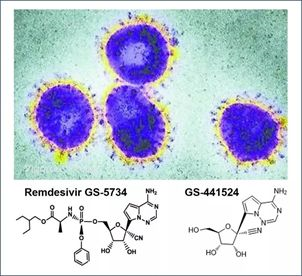 基于细胞因子风暴和免疫炎症反应综合征，，许多免疫相关靶点也可以列为冠状病毒的靶点。。