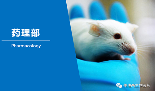 CC网投药理部开发了肺癌、结肠癌、胃癌等12种PDX模子。。。。