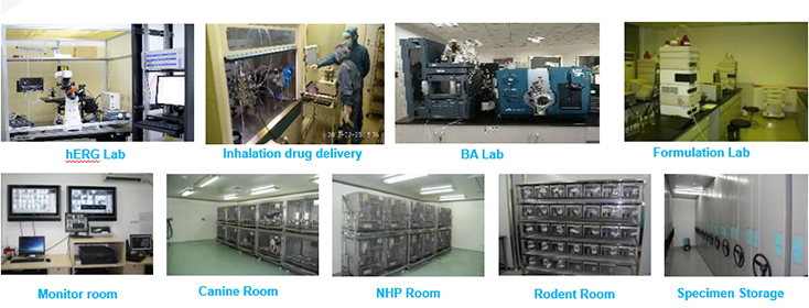 CC网投毒理研究部装备
