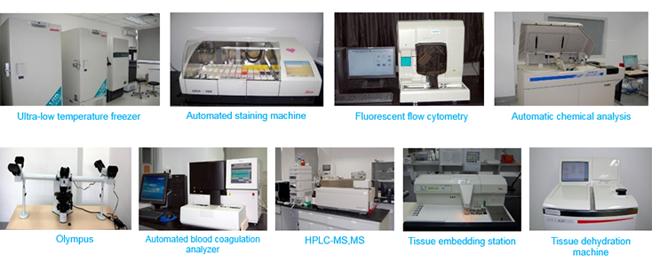 CC网投毒理研究部装备