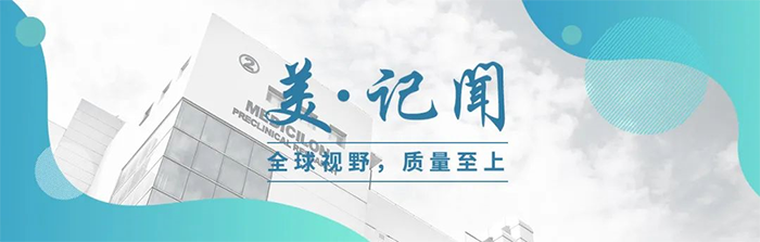 海宁市副市长杨文华一行调研CC网投