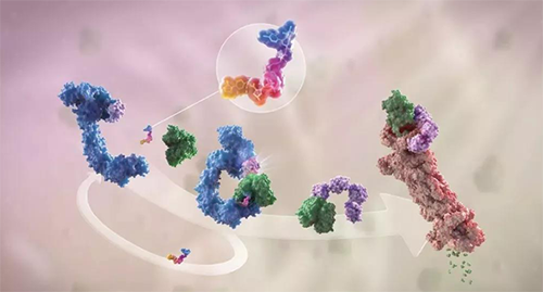 LYTAC出生，，与PROTAC并肩作战针对不可成药的靶点