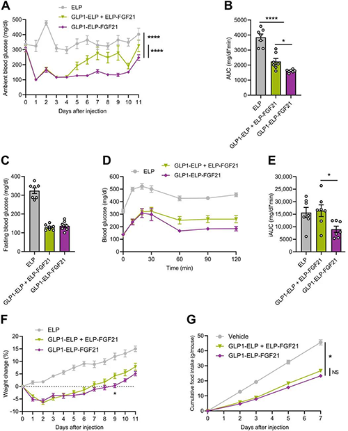 GLP1-ELP-FGF21双激动剂形式在治疗上优于GLP-1 / FGF21单激动剂混淆物 CC网投