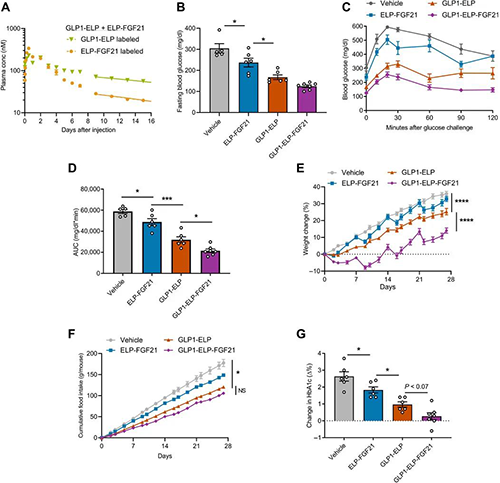 GLP1-ELP-FGF21双激动剂融合卵白对血糖和体重具有有用且一连的作用 CC网投