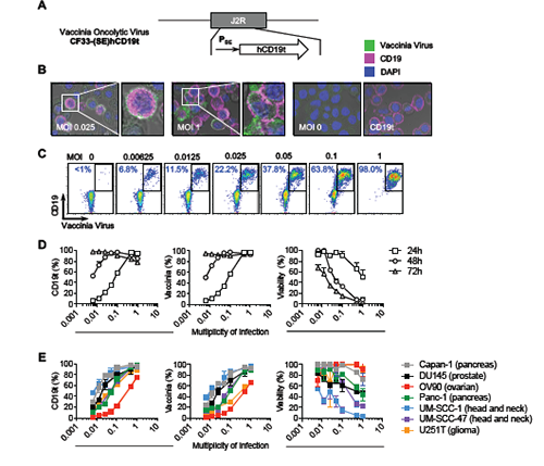 CC网投·(中国游)官方网站