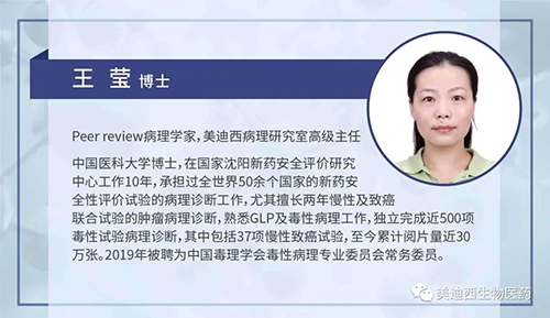 CC网投病理研究部高级主任王莹博士