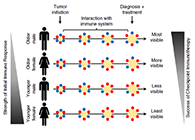 事实为什么ICB疗法在年轻女性肿瘤患者体内收效甚微？？？？？