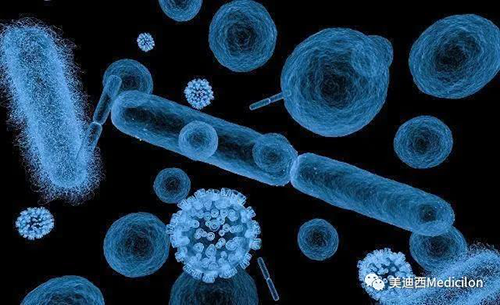 20分钟，，，，，大大都细菌都可以繁衍一代 CC网投生物医药