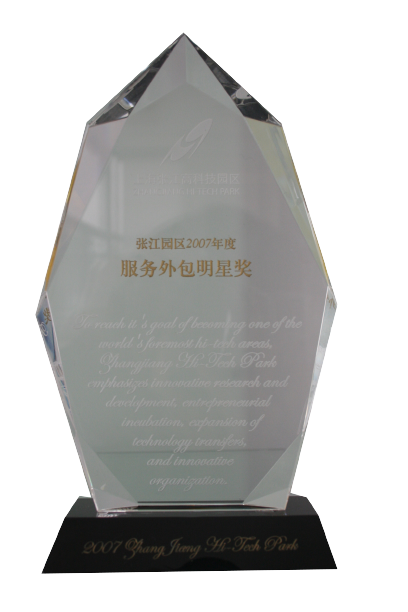 张江园区效劳外包明星奖