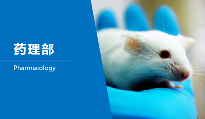 CC网投临床前研究-药理部