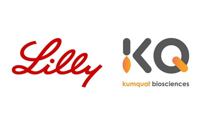 祝贺！CC网投相助同伴Kumquat Biosciences与礼来告竣相助，，，，配合开发肿瘤免疫小分子药