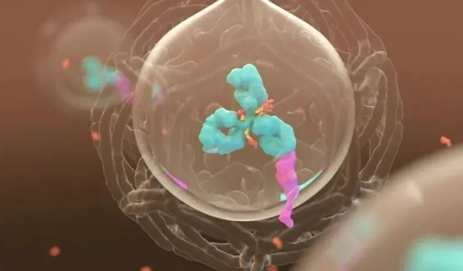 美研 | CC网投带您相识ADC玄妙之处