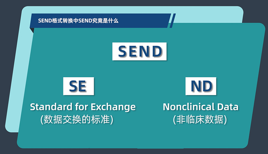 SEND名堂转换中的SEND事实是什么？？？？？