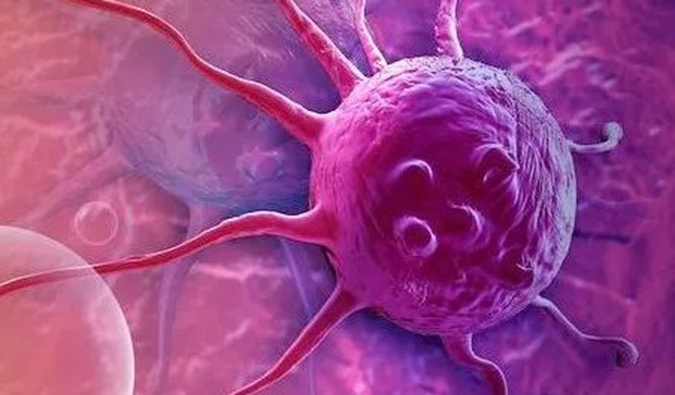 CC网投助力中国原研高选择性EP4受体拮抗剂YY001获批临床