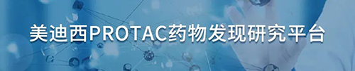 CC网投PROTAC药物发明研究平台.png