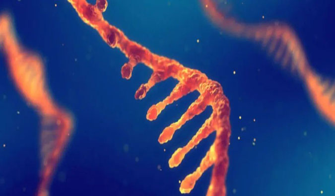 赋能核酸药物疗法，，，，迎接新药研发第三次浪潮