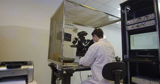 hERG-experiment-电心理1