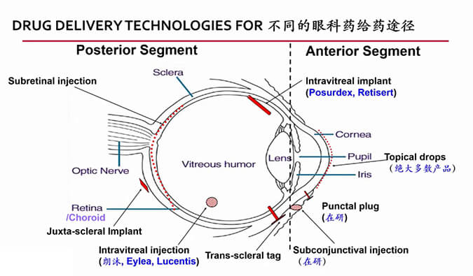 【内附回放+下半场预约】CC网投眼科药物专题钻研会上半场精彩回首