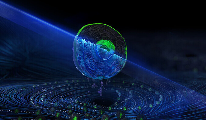 CC网投流式细胞分选效劳平台