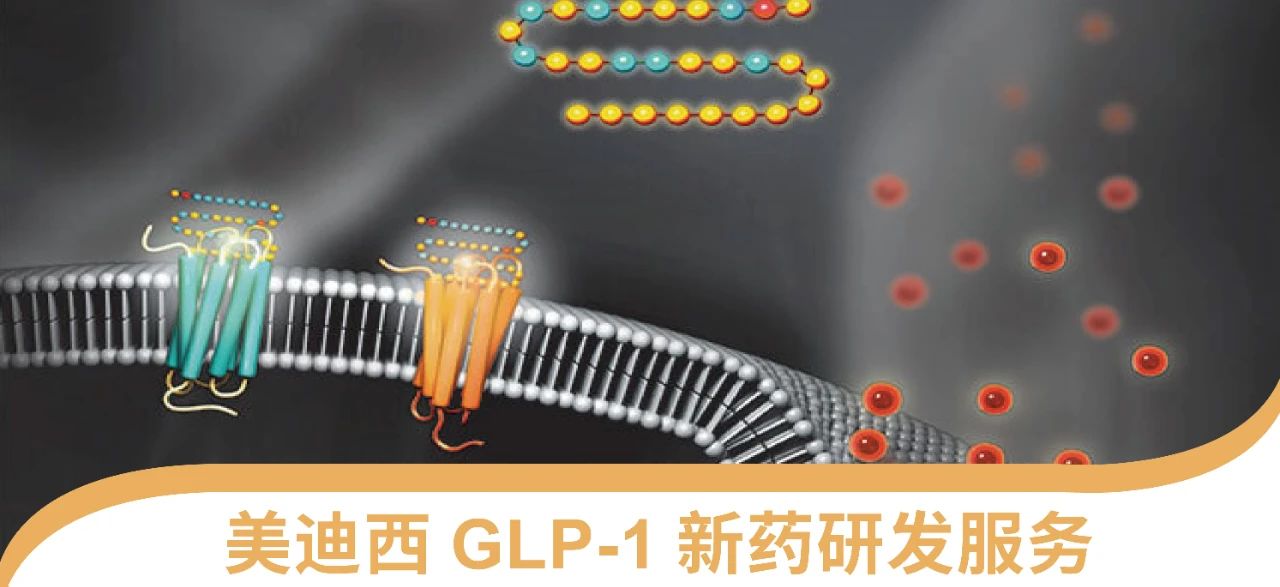 CC网投一站式 丨 “GLP-1”新药研发效劳能力先容