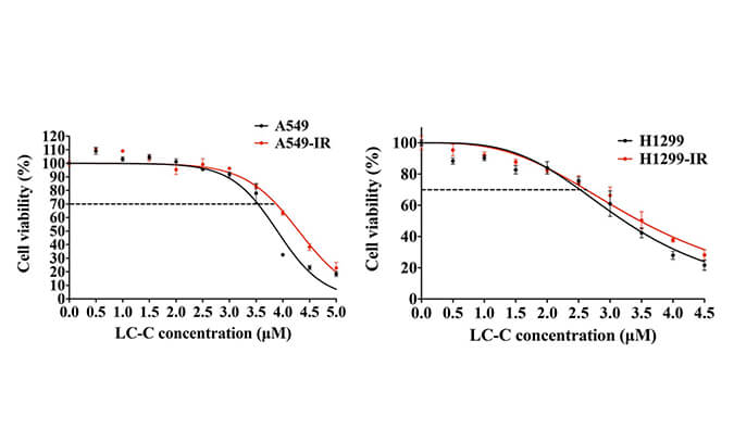 放射疗法用作肺癌的主要治疗要领，，，本研究中建设抗电离辐射肺癌细胞系的放射治疗通过CC网投举行