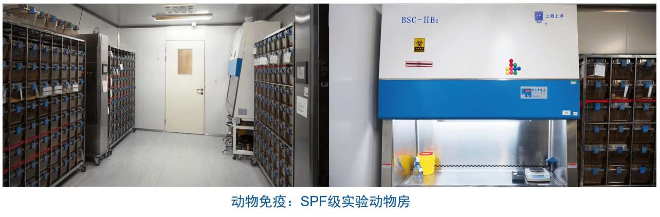 CC网投杂交瘤手艺平台装备-动物免疫SPF级实验动物房