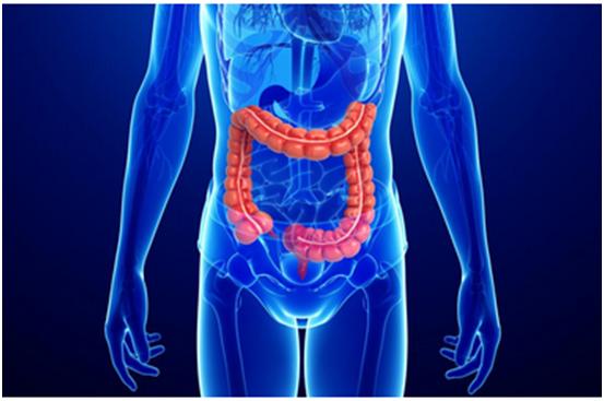 CC网投一站式助力 | 宝太生物首其中美双报立异药获批