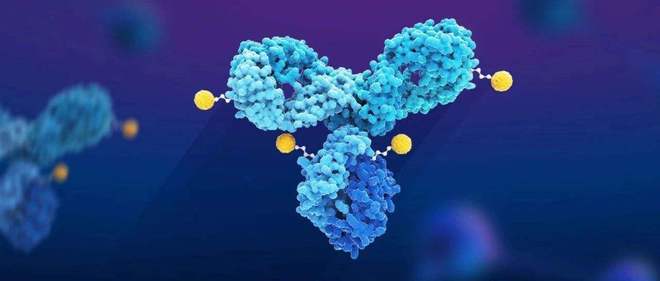 天下肿瘤日聚焦：AACR年会引领全球肿瘤新药趋势，，，，国产药引领风潮