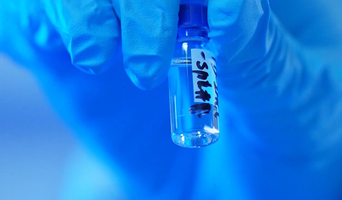 GLP-1“竞速赛”何以夺魁？？？