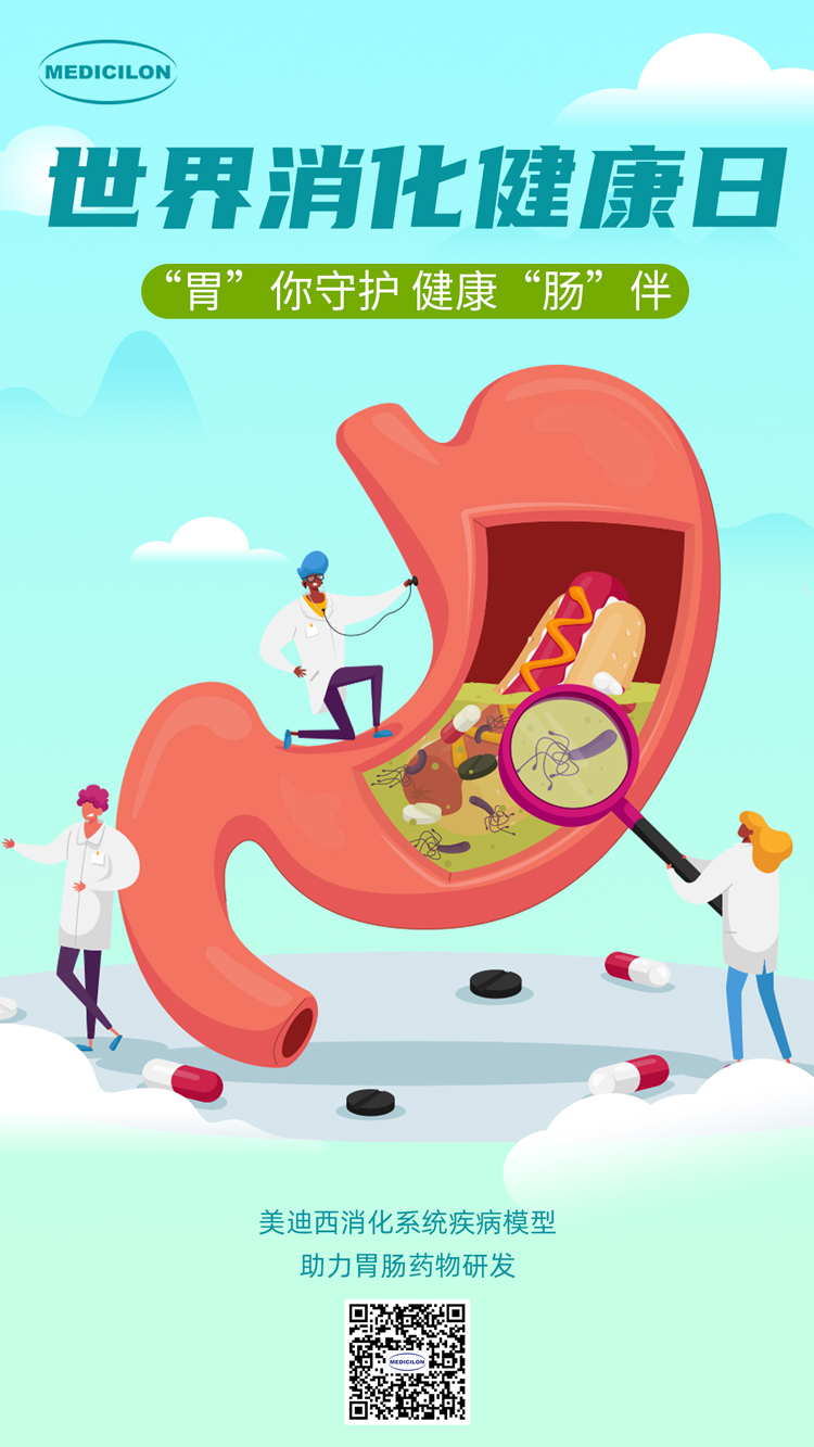 CC网投消化系统疾病模子助力胃肠药物研发.jpg