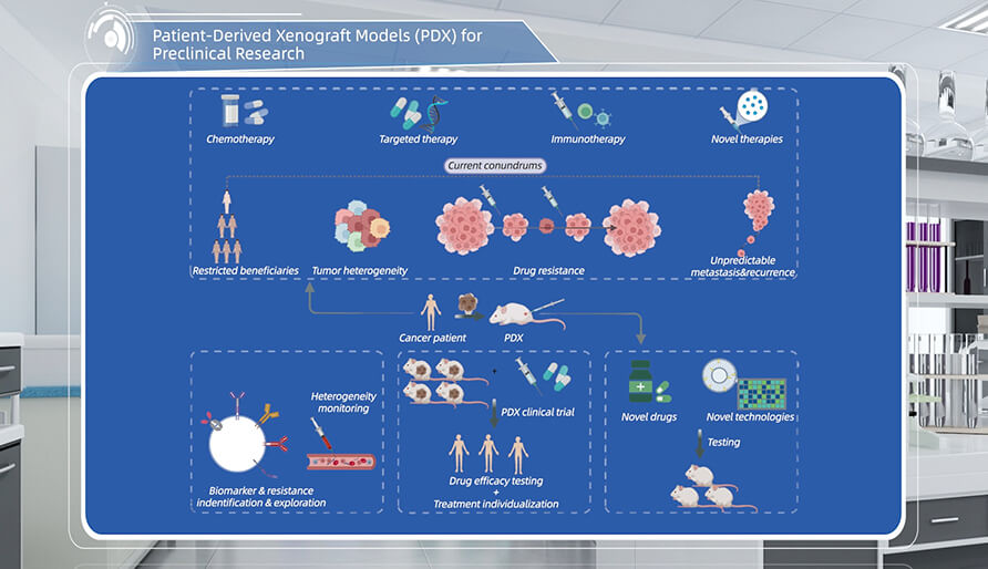 什么是临床前研究的PDX（人源肿瘤异种移植）模子？？？？？