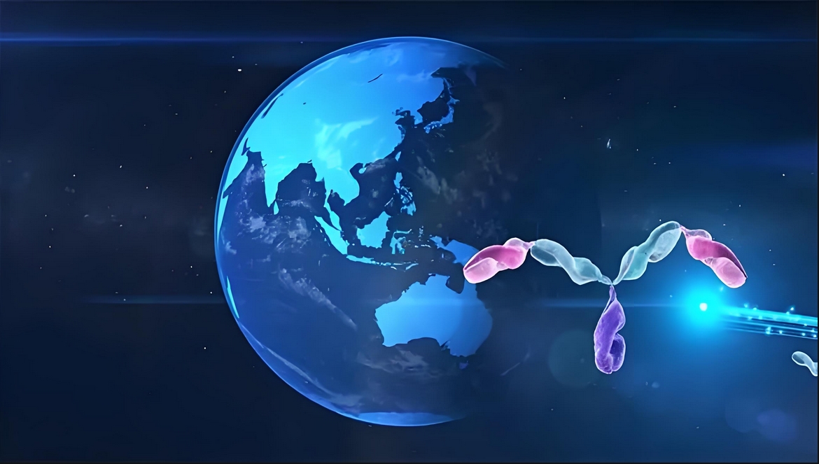 价值屡履历证！CC网投祝贺相助同伴岸迈生物BCMA×CD3双抗EMB-06授权出海