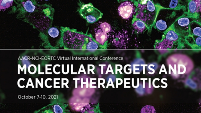 通过联合治疗提高免疫疗法疗效，，，，本研究中临床前体内药效研究通过CC网投举行