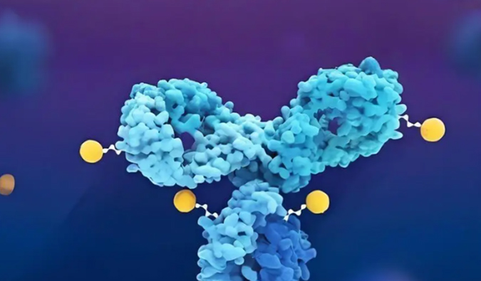 深度剖析：ADC药物生物剖析的考量因素