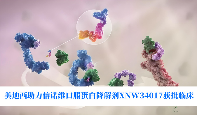 CC网投助力相助同伴信诺维口服卵白降解剂XNW34017获批临床